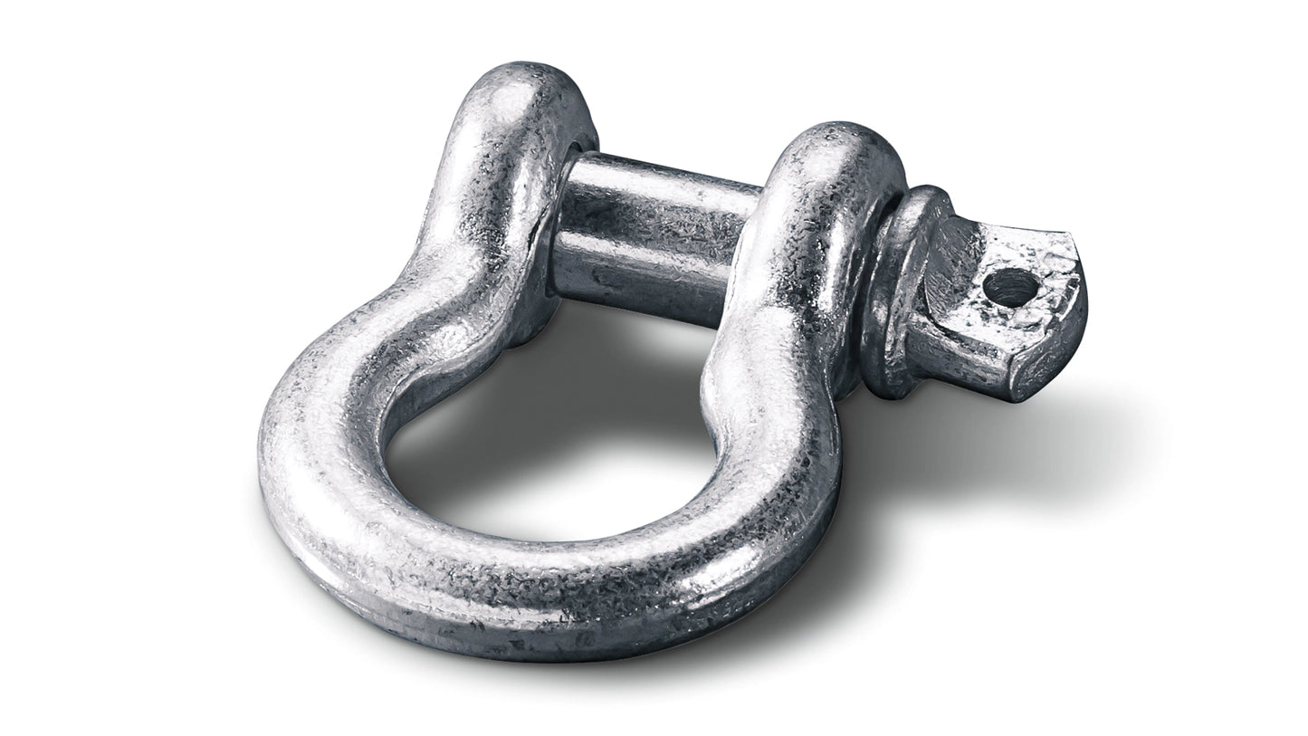 Clevis D-Shackle - 1/2 in
