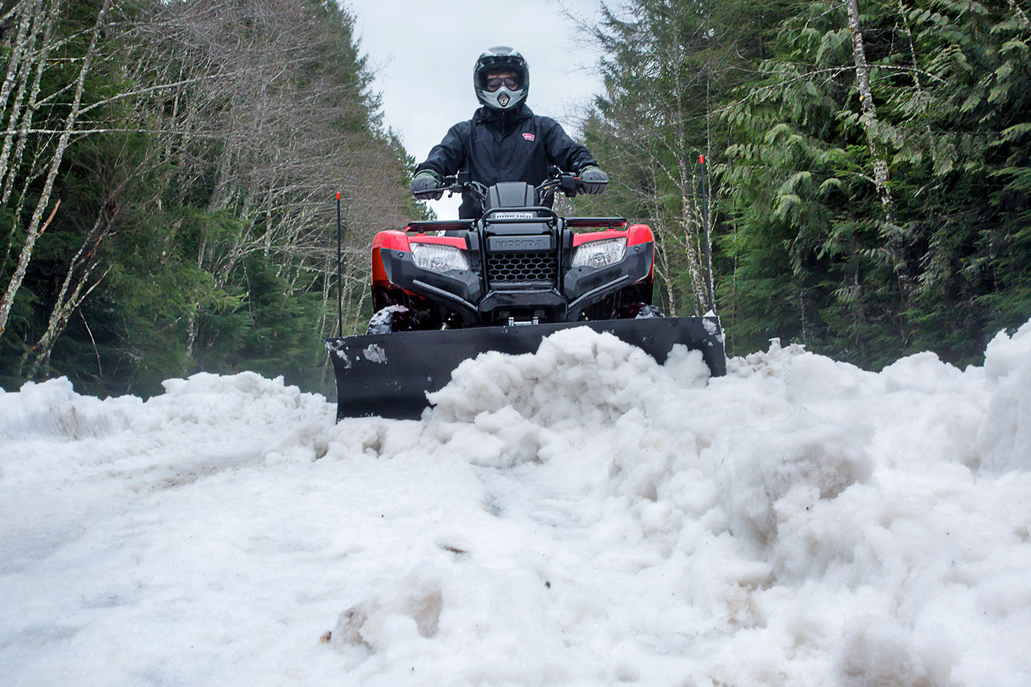 Shop Provantage II Snow Plows WARN Industries